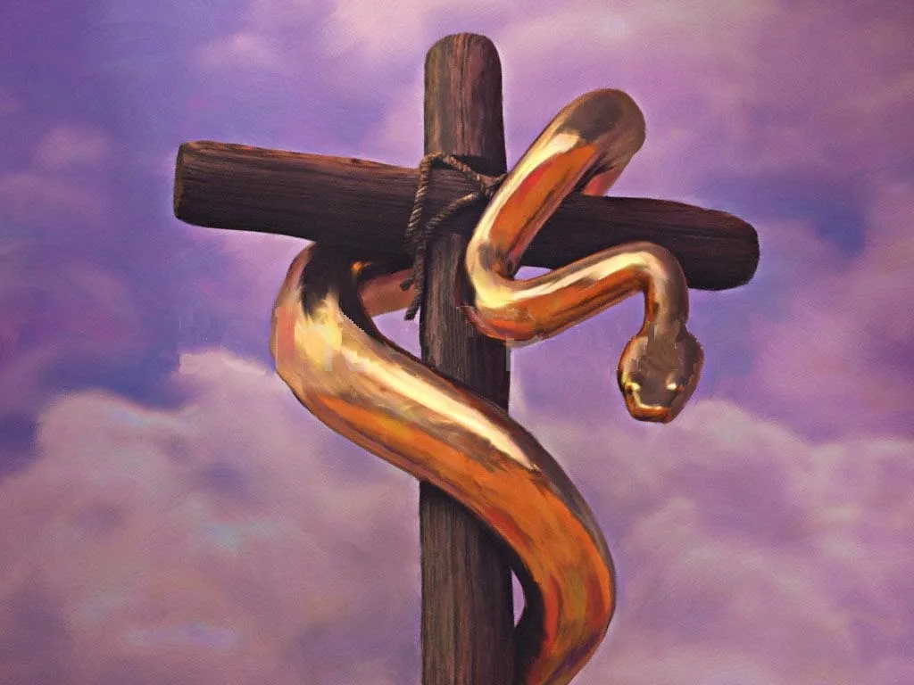 SNAKE IN THE WILDERNESS: A Look at John 3:14-15 (42 of 66)